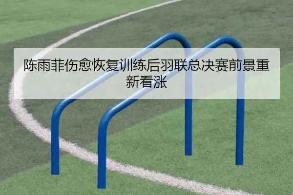 陈雨菲伤愈恢复训练后羽联总决赛前景重新看涨 | WuKongSports