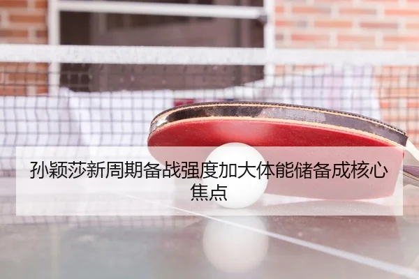 孙颖莎新周期备战强度加大体能储备成核心焦点 | WuKongSports